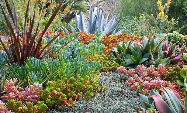 succulent-garden-ideas-16_7 Сочни градински идеи