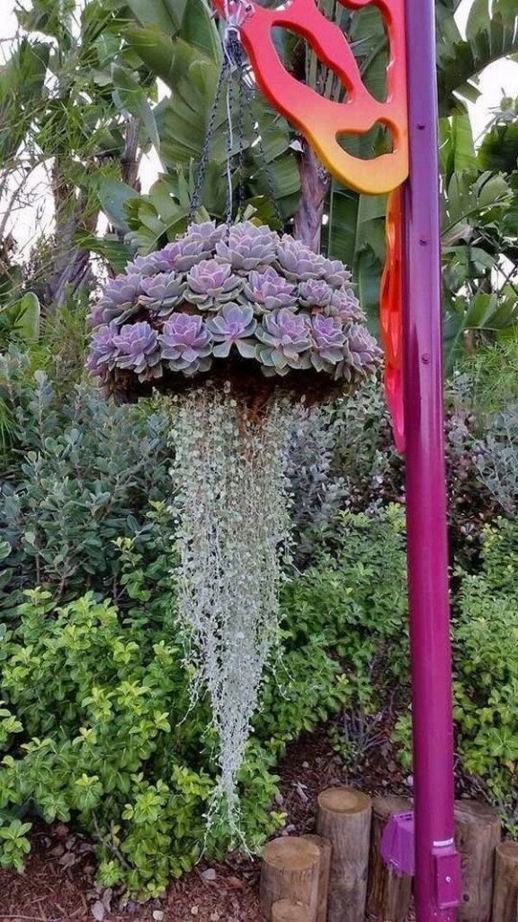 succulent-garden-ideas-16_9 Сочни градински идеи