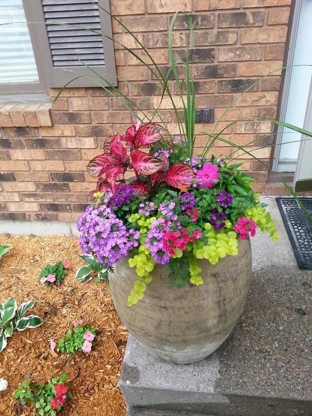 summer-flowers-for-pots-13_2 Летни цветя за саксии