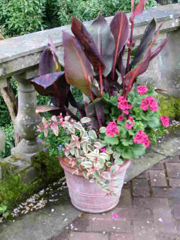 summer-garden-pot-ideas-40_10 Лятна градина саксия идеи