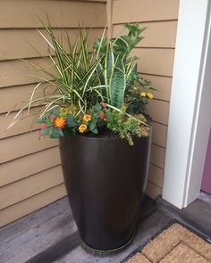 summer-planter-arrangements-97 Летни плантатори