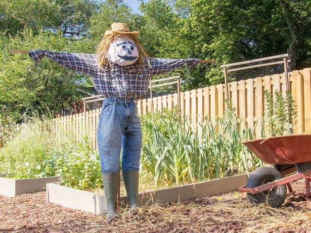 things-to-make-for-your-garden-78 Неща, които да направите за вашата градина