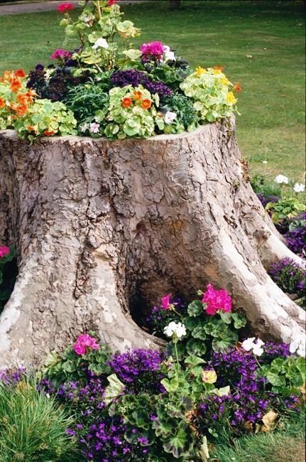 tree-stump-flower-pots-00_12 Дърво пън саксии за цветя