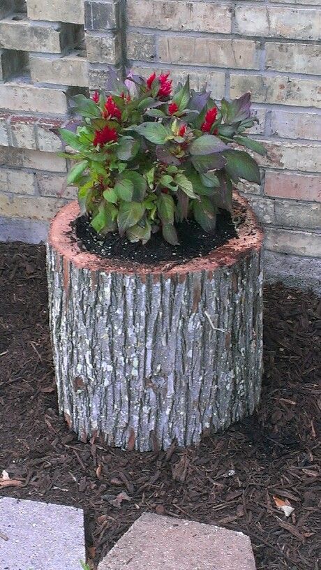 tree-stump-flower-pots-00_4 Дърво пън саксии за цветя