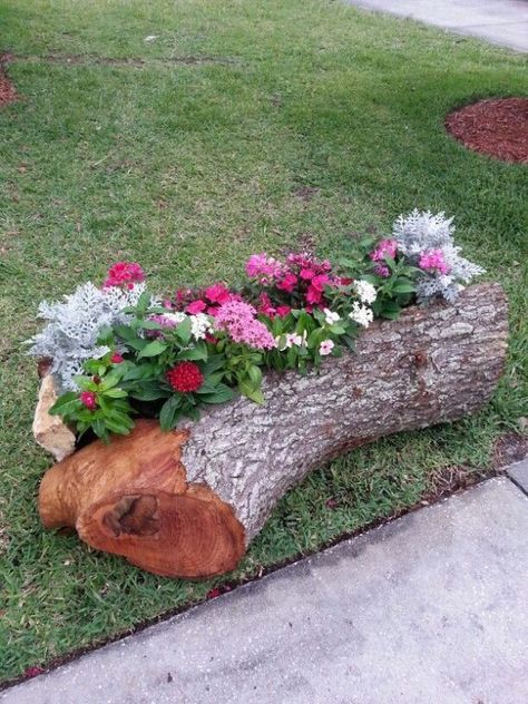 tree-stump-flower-pots-00_5 Дърво пън саксии за цветя