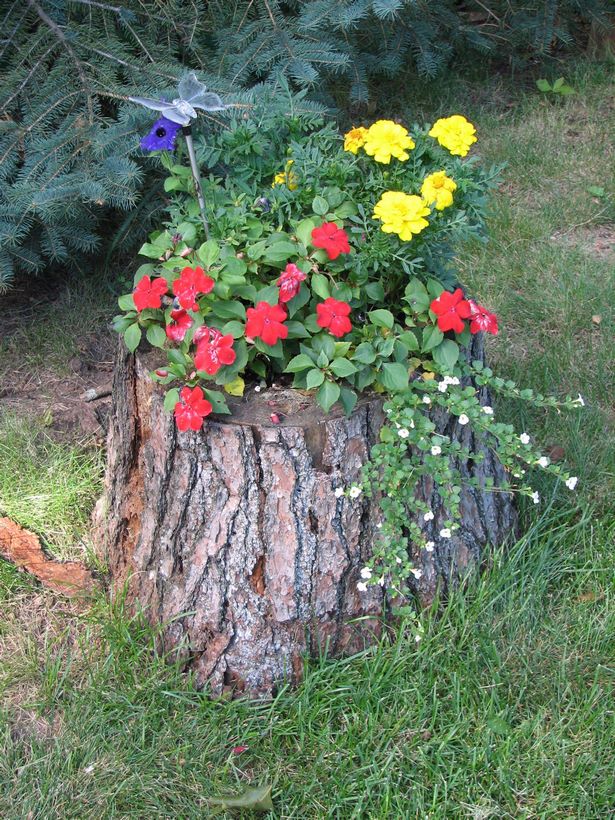 tree-stump-flower-pots-00_8 Дърво пън саксии за цветя