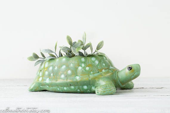 turtle-flower-pot-22_7 Костенурка саксия