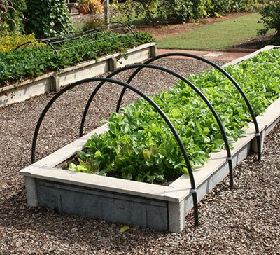 types-of-raised-garden-beds-91_10 Видове повдигнати градински легла