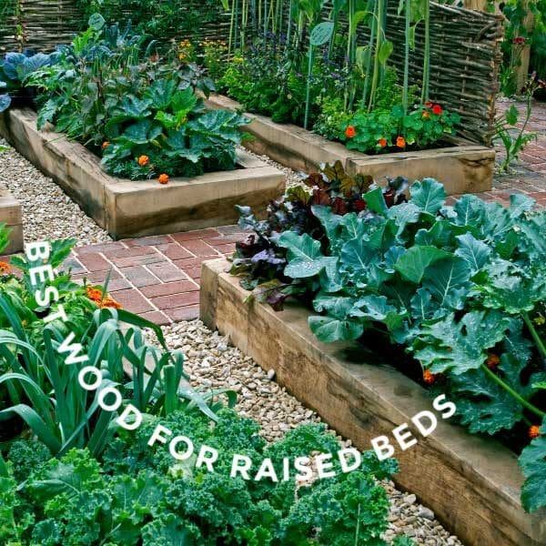 types-of-raised-garden-beds-91_7 Видове повдигнати градински легла