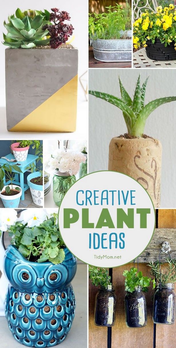unique-plant-container-ideas-46_10 Уникални идеи за контейнери за растения