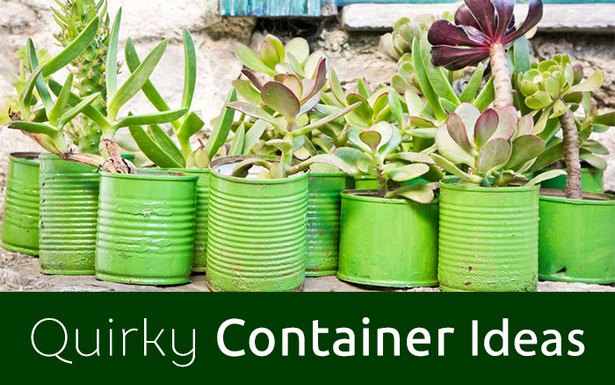 unusual-container-planting-ideas-82_17 Необичайни идеи за засаждане на контейнери