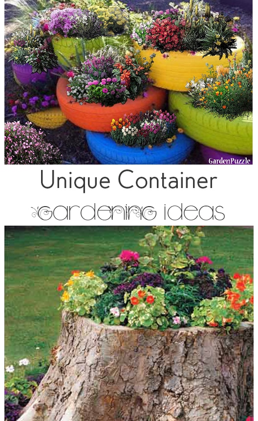 unusual-container-planting-ideas-82_2 Необичайни идеи за засаждане на контейнери