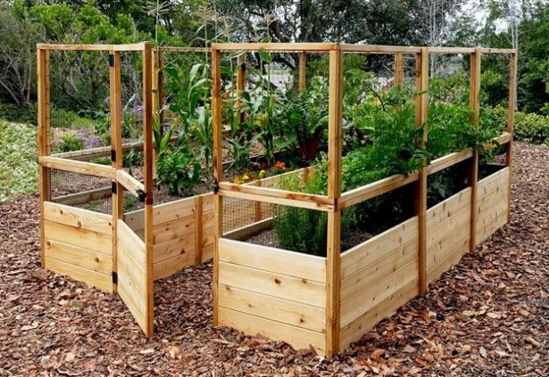 using-a-raised-garden-bed-97_15 Използване на повдигнато градинско легло