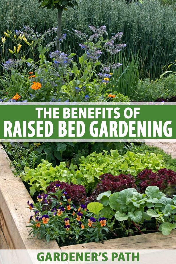 using-a-raised-garden-bed-97_7 Използване на повдигнато градинско легло