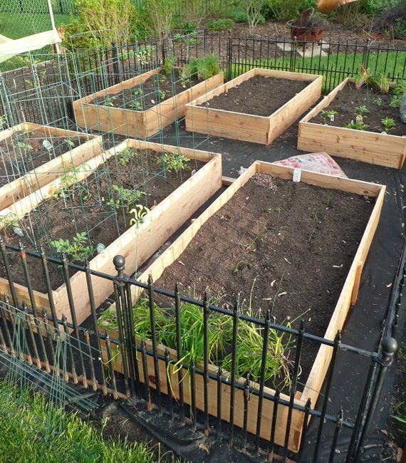 vegetable-garden-box-ideas-43_10 Зеленчукова градина кутия идеи