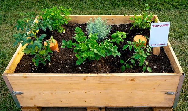 vegetable-garden-box-ideas-43_13 Зеленчукова градина кутия идеи