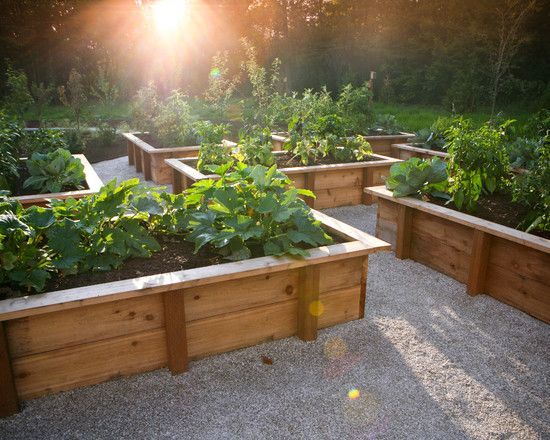 vegetable-garden-box-ideas-43_5 Зеленчукова градина кутия идеи