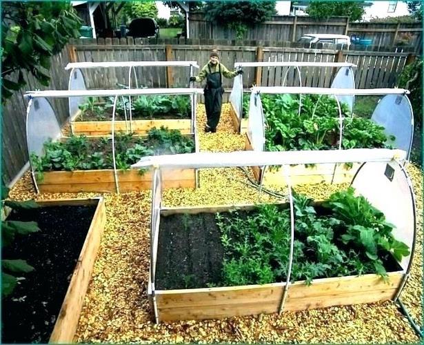 vegetable-garden-box-ideas-43_8 Зеленчукова градина кутия идеи