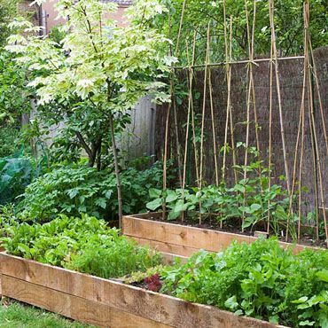 veggie-garden-beds-12_14 Вегетариански градински легла