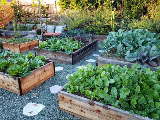 veggie-garden-beds-12_2 Вегетариански градински легла