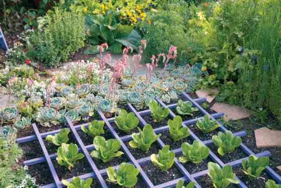 ways-to-landscape-your-front-yard-09_12 Начини за озеленяване на предния двор