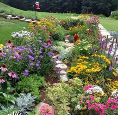 wildflower-garden-ideas-90_2 Идеи за градина с диви цветя