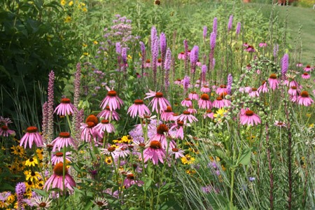 wildflower-garden-ideas-90_4 Идеи за градина с диви цветя