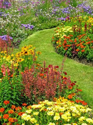 wildflower-garden-ideas-90_8 Идеи за градина с диви цветя