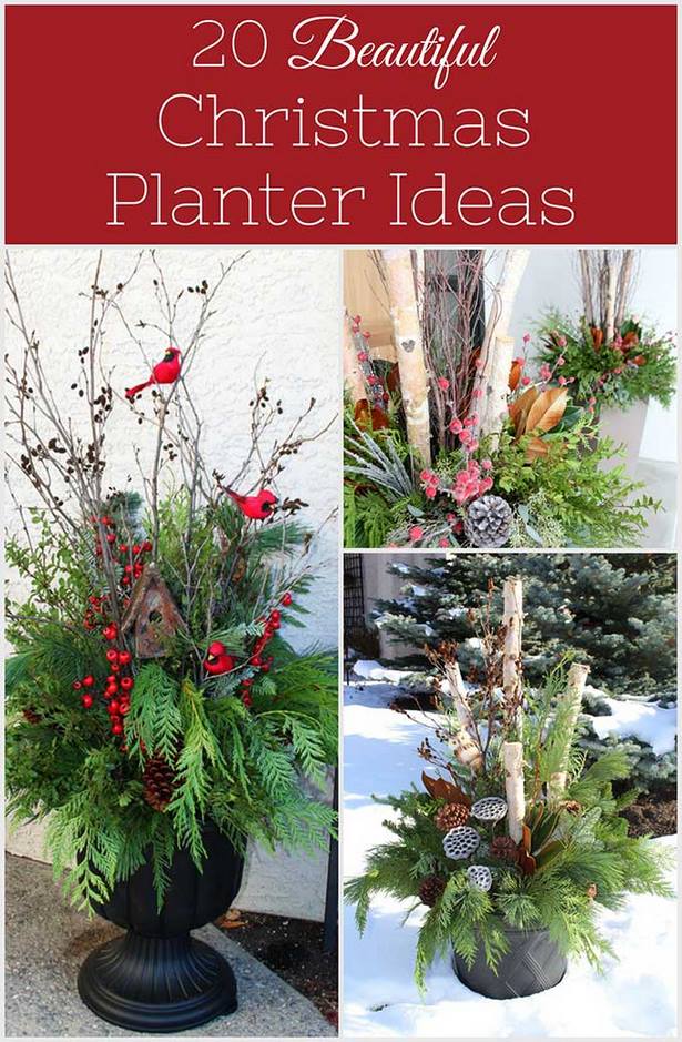 winter-planter-ideas-83_12 Идеи за зимни плантатори