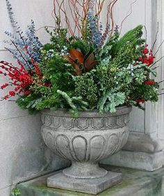 winter-plants-for-pots-93_11 Зимни растения за саксии