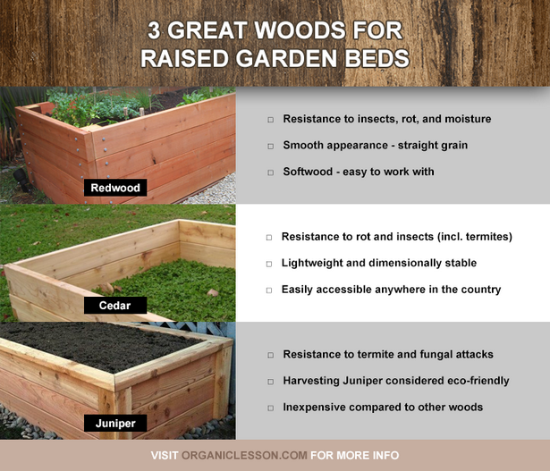 wood-for-building-raised-beds-61 Дърво за изграждане на повдигнати легла