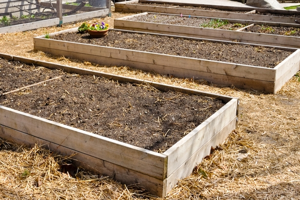 wood-for-building-raised-beds-61_2 Дърво за изграждане на повдигнати легла