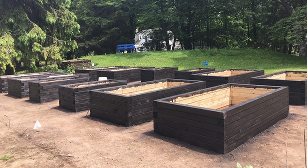 wood-for-building-raised-beds-61_5 Дърво за изграждане на повдигнати легла