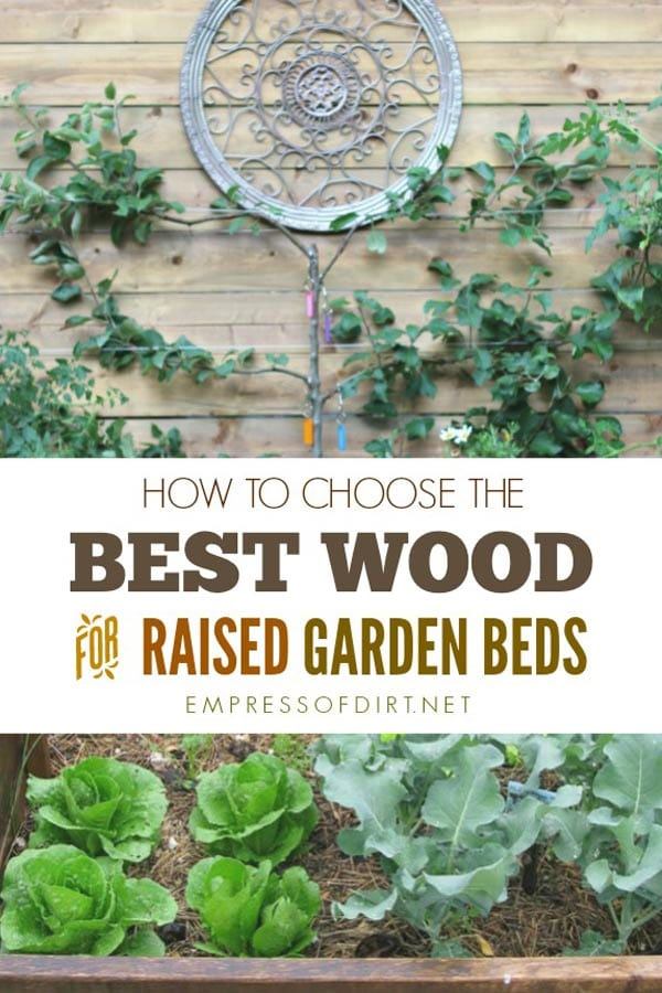 wood-for-building-raised-beds-61_7 Дърво за изграждане на повдигнати легла