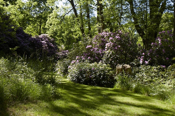 woodland-garden-ideas-04_15 Идеи за горски градини