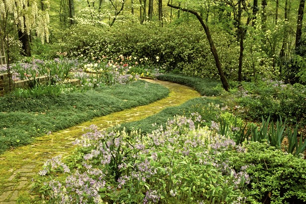 woodland-garden-ideas-04_9 Идеи за горски градини