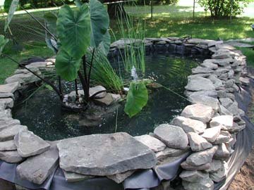 above-ground-pond-designs-90_12 Надземни езерца