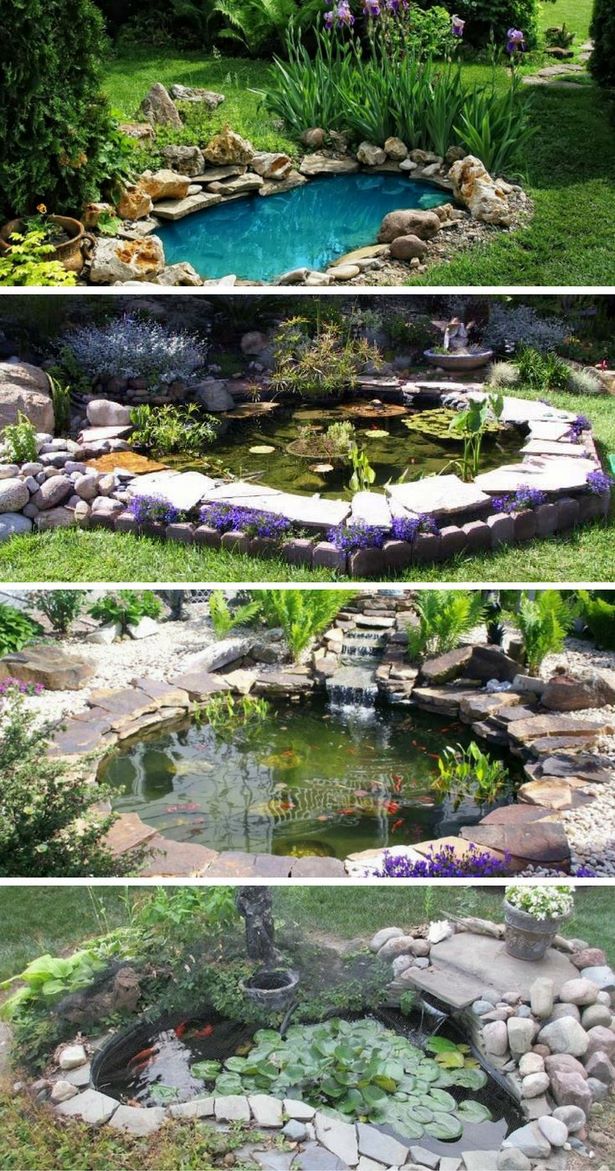 amazing-garden-ponds-20_13 Невероятни градински езера