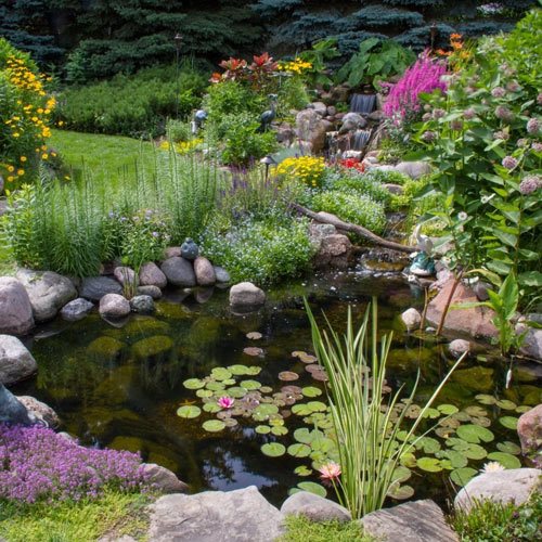 amazing-garden-ponds-20_8 Невероятни градински езера