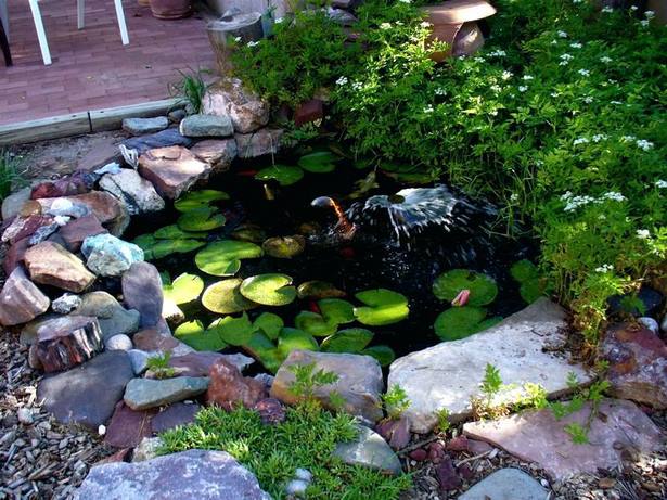 Дизайн на рибно езерце в задния двор