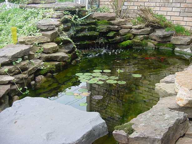backyard-fish-pond-designs-28_20 Дизайн на рибно езерце в задния двор