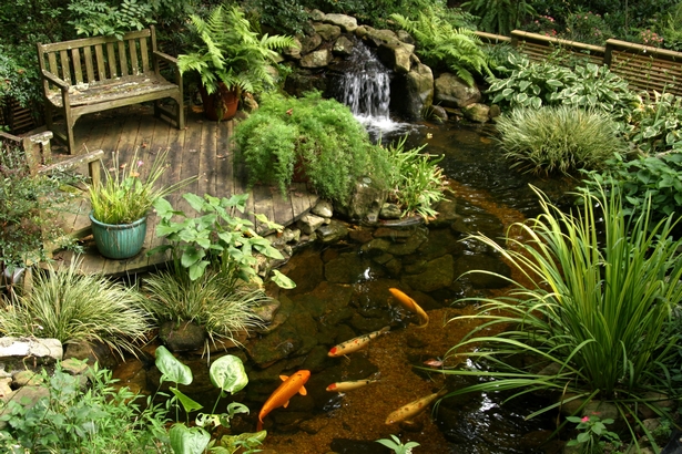 backyard-fish-pond-designs-28_8 Дизайн на рибно езерце в задния двор