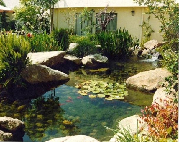 backyard-fish-pond-ideas-63_11 Идеи за рибно езерце в задния двор