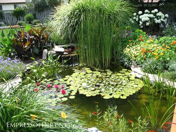 backyard-fish-pond-ideas-63_2 Идеи за рибно езерце в задния двор