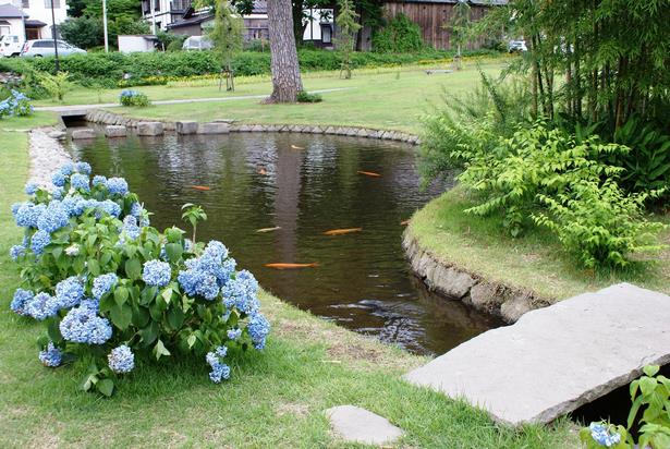 backyard-fish-pond-ideas-63_8 Идеи за рибно езерце в задния двор