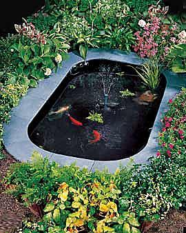 backyard-koi-fish-pond-95_15 Заден двор Кои риба езерце
