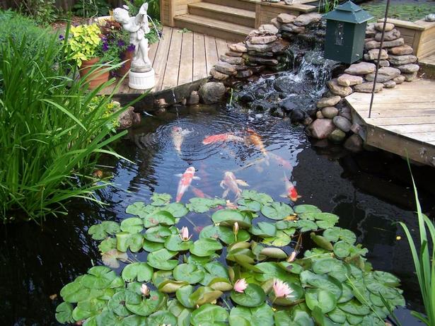 backyard-koi-fish-pond-95_5 Заден двор Кои риба езерце