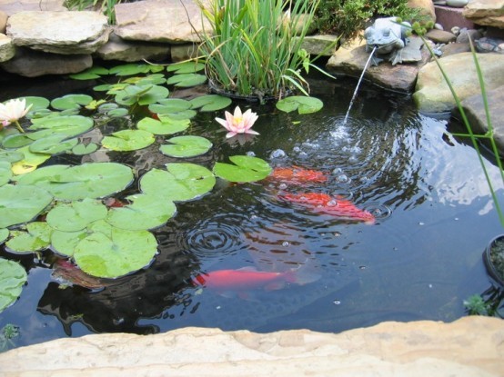 backyard-koi-fish-pond-95_8 Заден двор Кои риба езерце