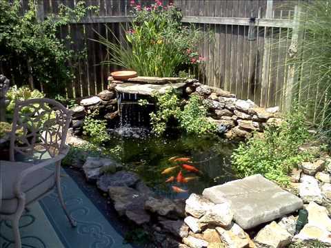 backyard-pond-fish-35_2 Заден двор езерце риба