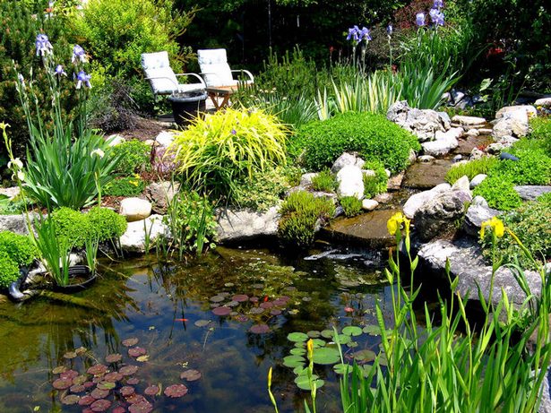 backyard-pond-fish-35_9 Заден двор езерце риба